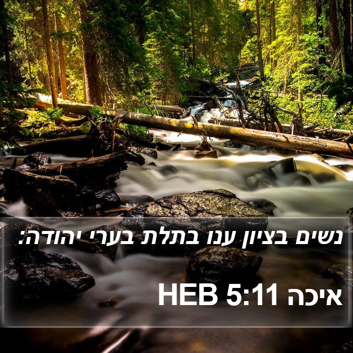 איכה 5:11 HEB Bible Study