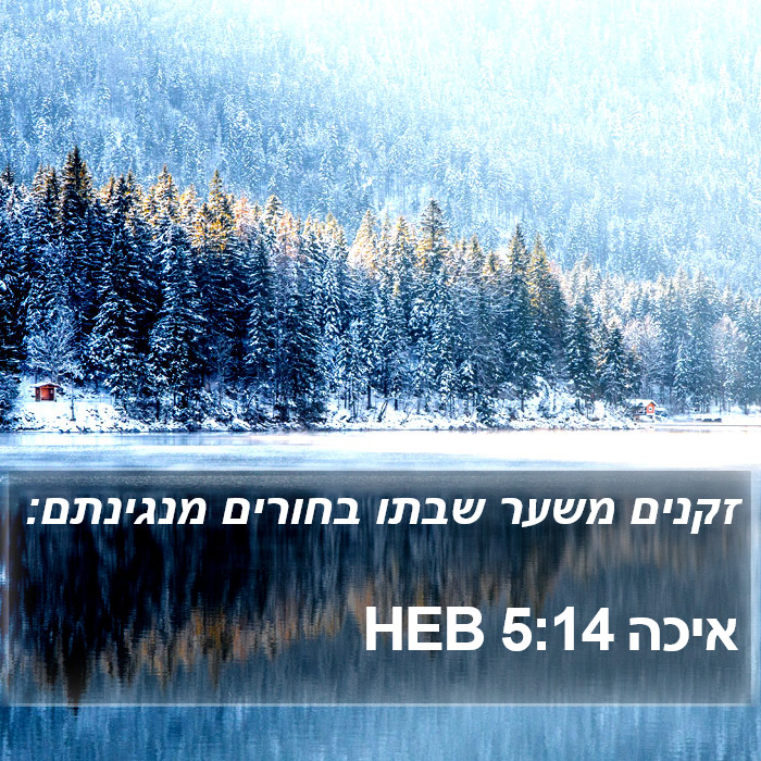 איכה 5:14 HEB Bible Study