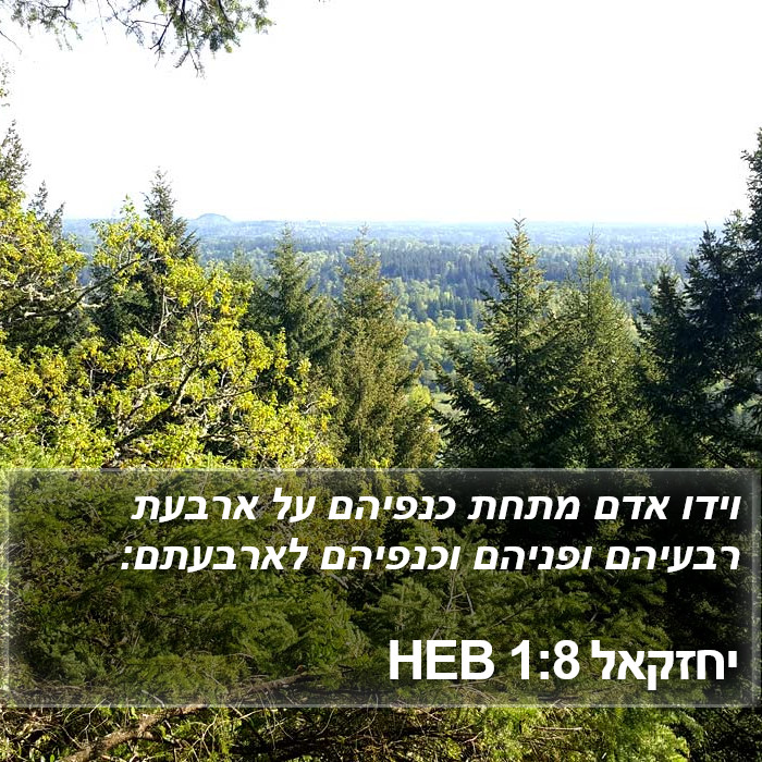 יחזקאל 1:8 HEB Bible Study