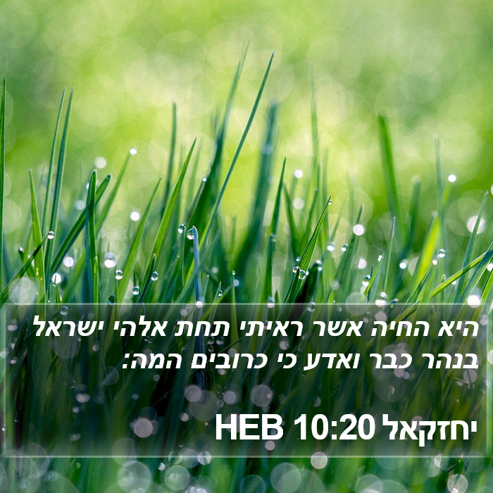 יחזקאל 10:20 HEB Bible Study