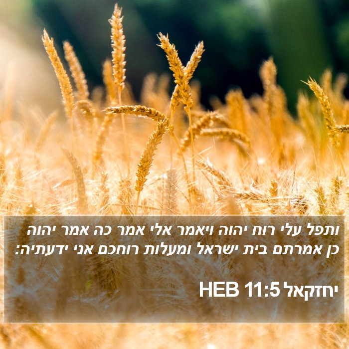 יחזקאל 11:5 HEB Bible Study