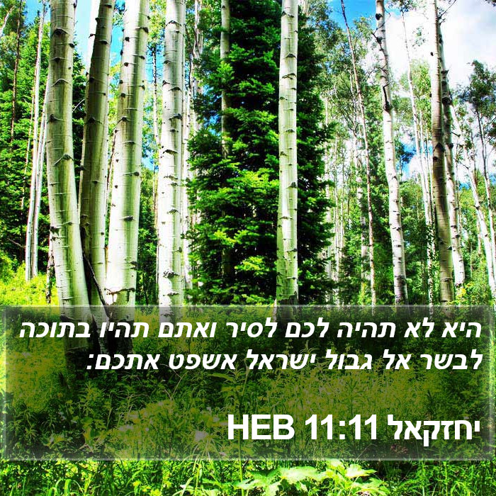 יחזקאל 11:11 HEB Bible Study