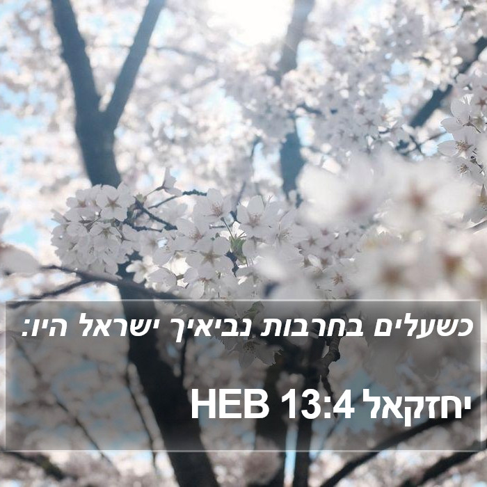 יחזקאל 13:4 HEB Bible Study