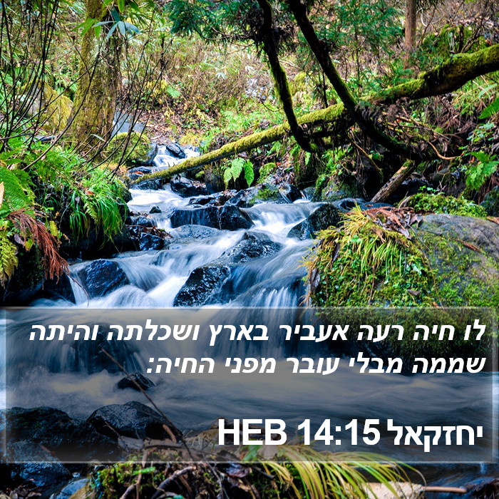 יחזקאל 14:15 HEB Bible Study