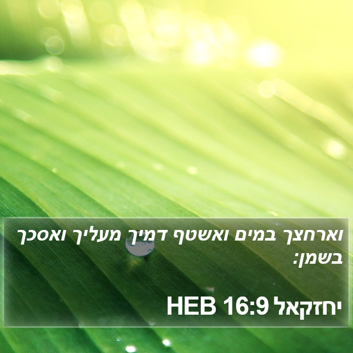 יחזקאל 16:9 HEB Bible Study