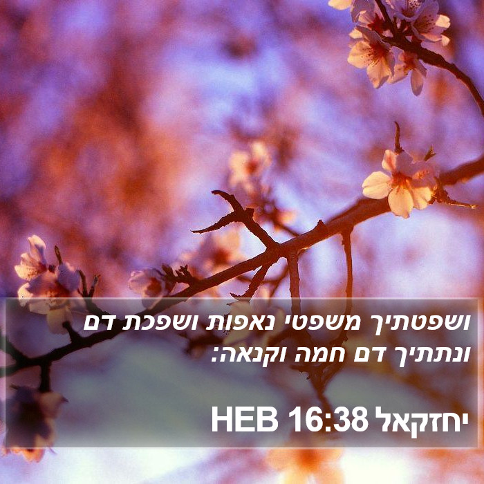 יחזקאל 16:38 HEB Bible Study