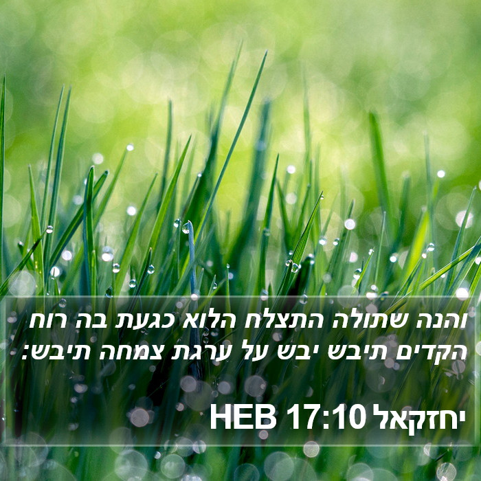 יחזקאל 17:10 HEB Bible Study