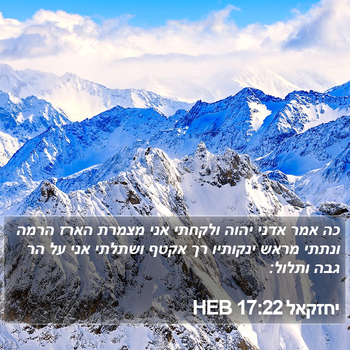 יחזקאל 17:22 HEB Bible Study