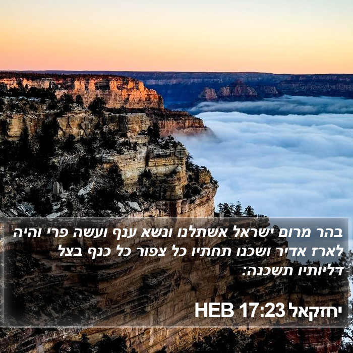 יחזקאל 17:23 HEB Bible Study