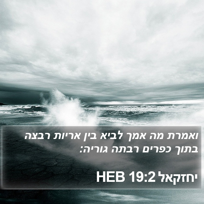 יחזקאל 19:2 HEB Bible Study