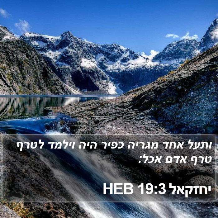 יחזקאל 19:3 HEB Bible Study