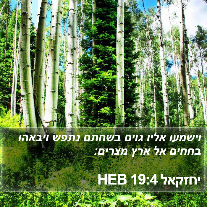 יחזקאל 19:4 HEB Bible Study