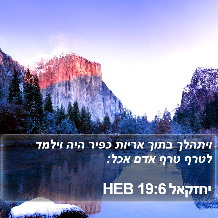 יחזקאל 19:6 HEB Bible Study