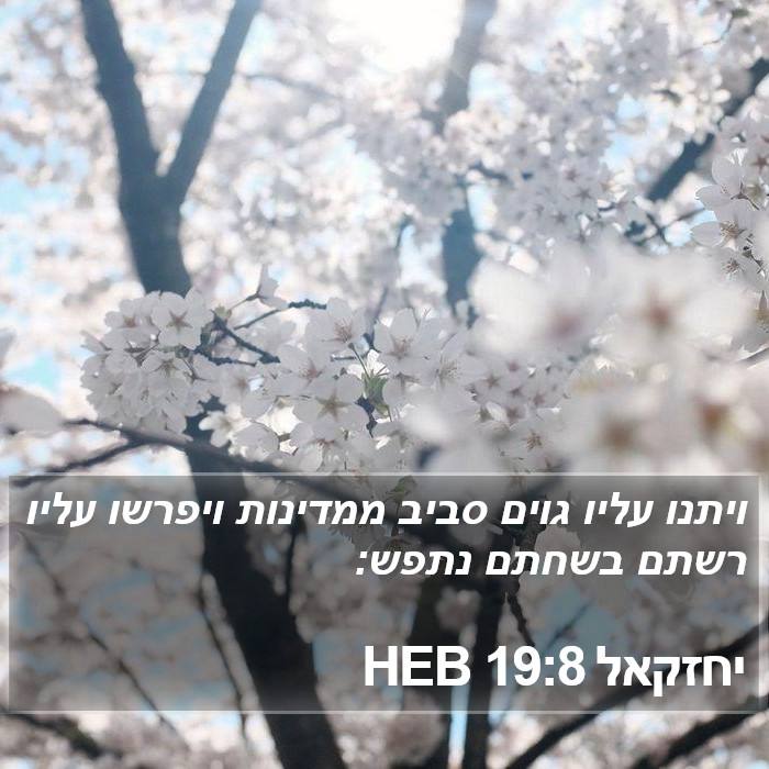 יחזקאל 19:8 HEB Bible Study