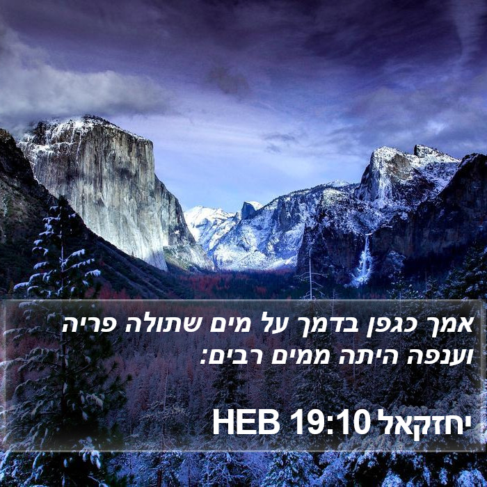 יחזקאל 19:10 HEB Bible Study