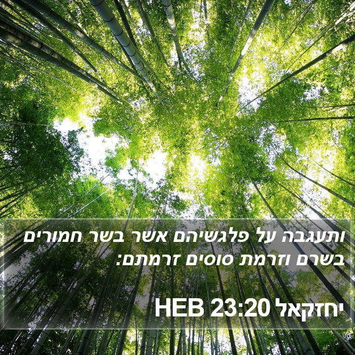 יחזקאל 23:20 HEB Bible Study