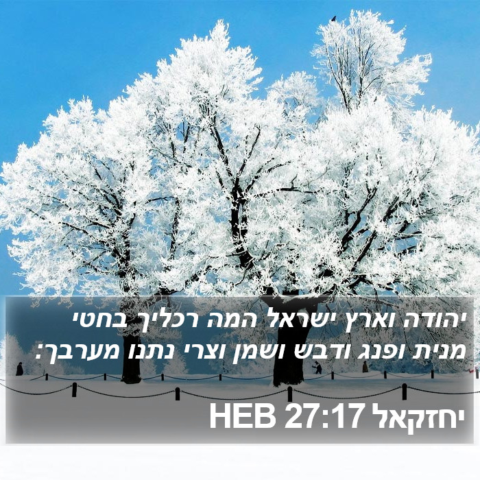 יחזקאל 27:17 HEB Bible Study