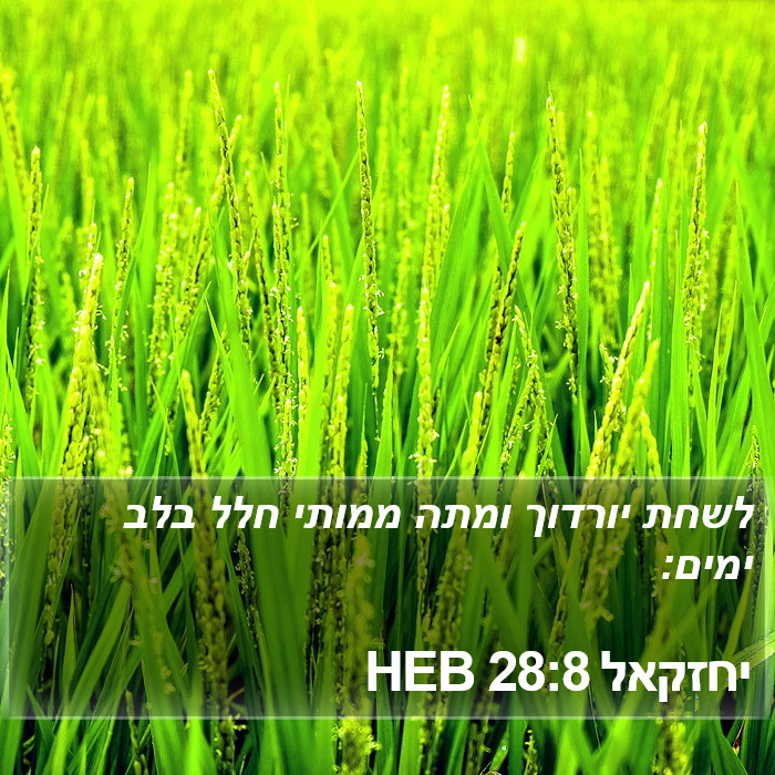 יחזקאל 28:8 HEB Bible Study