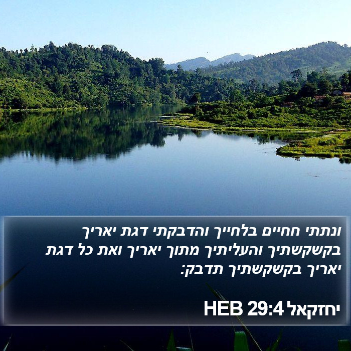 יחזקאל 29:4 HEB Bible Study