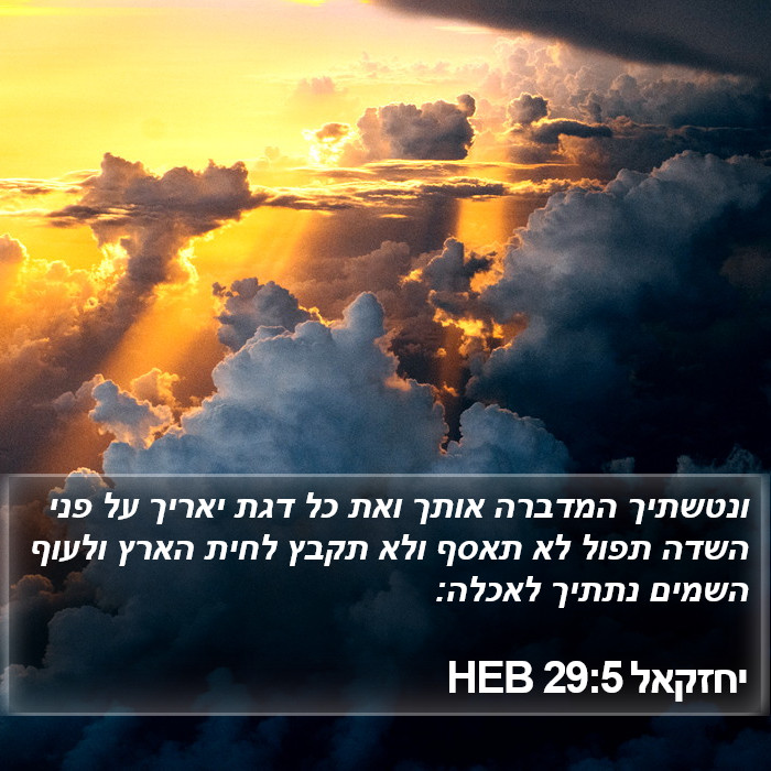 יחזקאל 29:5 HEB Bible Study