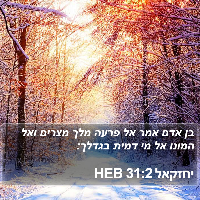 יחזקאל 31:2 HEB Bible Study