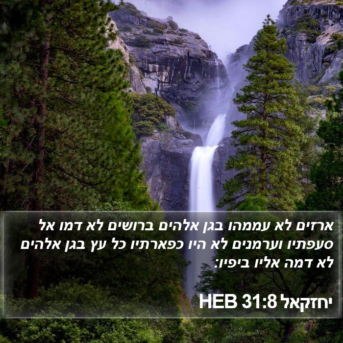 יחזקאל 31:8 HEB Bible Study