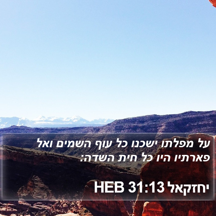 יחזקאל 31:13 HEB Bible Study