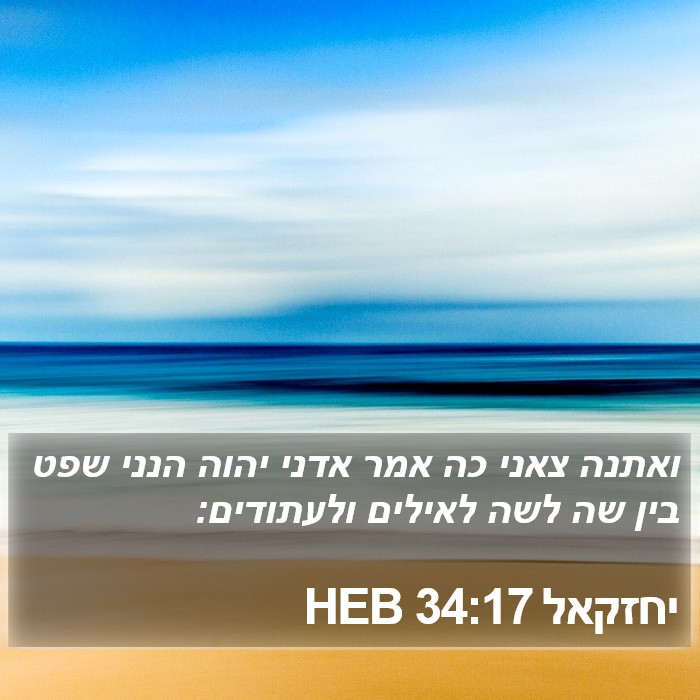 יחזקאל 34:17 HEB Bible Study