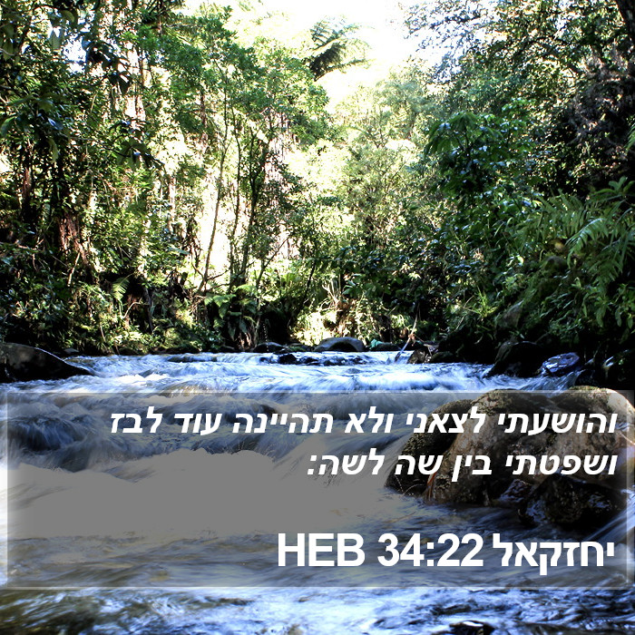 יחזקאל 34:22 HEB Bible Study