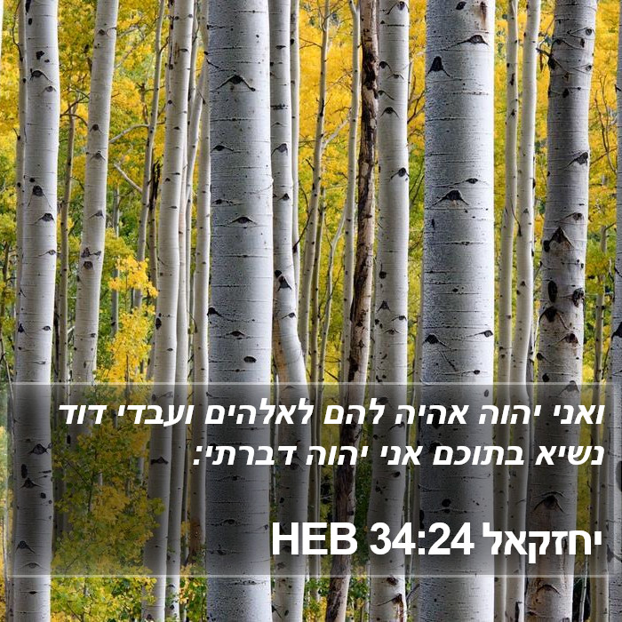 יחזקאל 34:24 HEB Bible Study