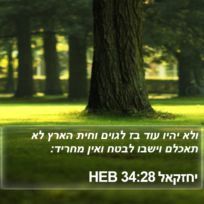 יחזקאל 34:28 HEB Bible Study