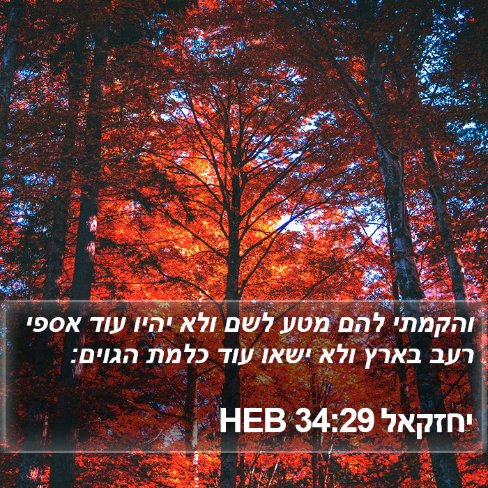 יחזקאל 34:29 HEB Bible Study