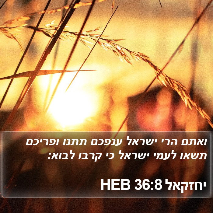 יחזקאל 36:8 HEB Bible Study