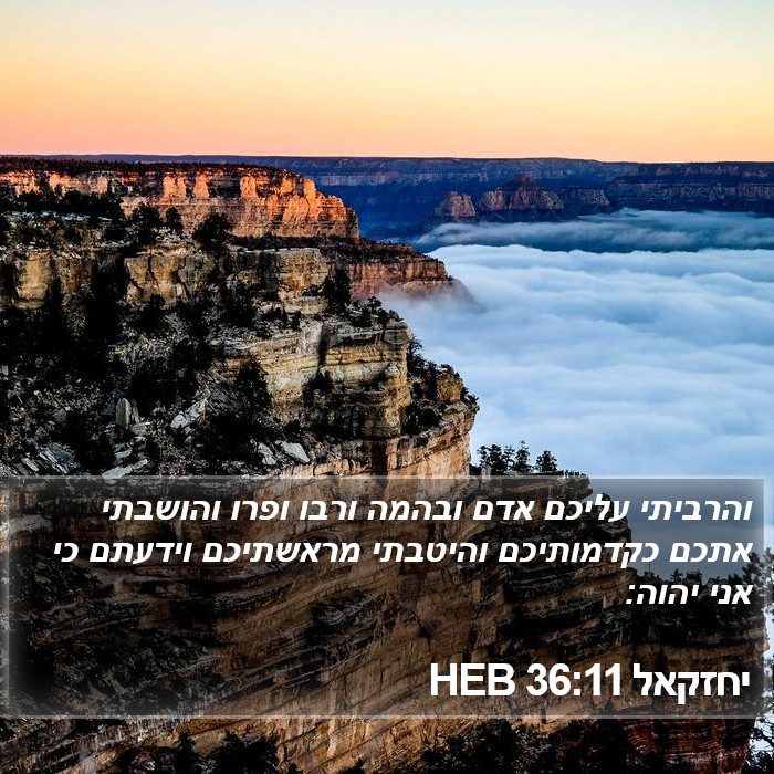 יחזקאל 36:11 HEB Bible Study