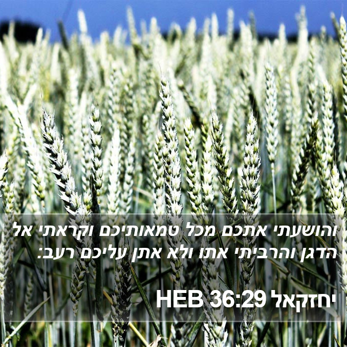 יחזקאל 36:29 HEB Bible Study