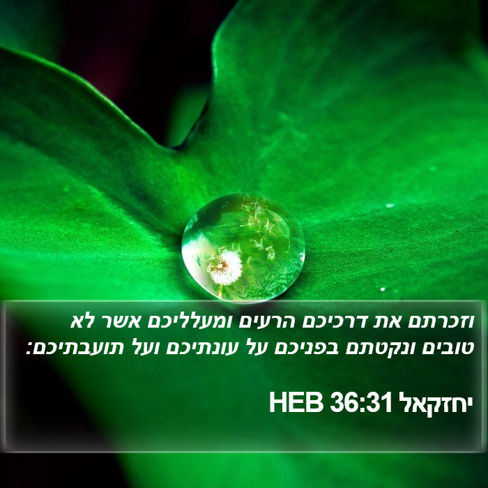 יחזקאל 36:31 HEB Bible Study