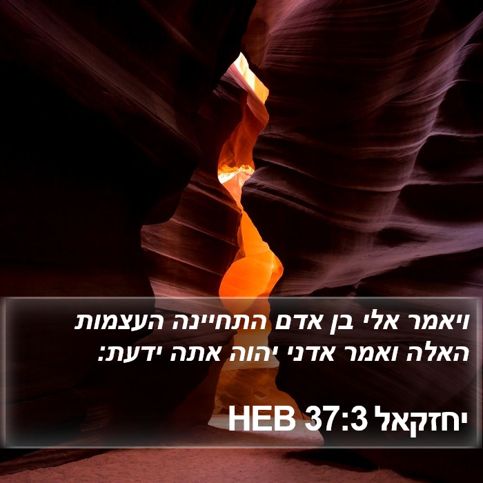 יחזקאל 37:3 HEB Bible Study