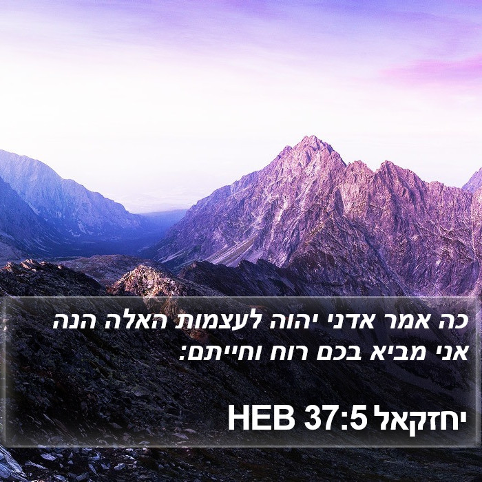 יחזקאל 37:5 HEB Bible Study