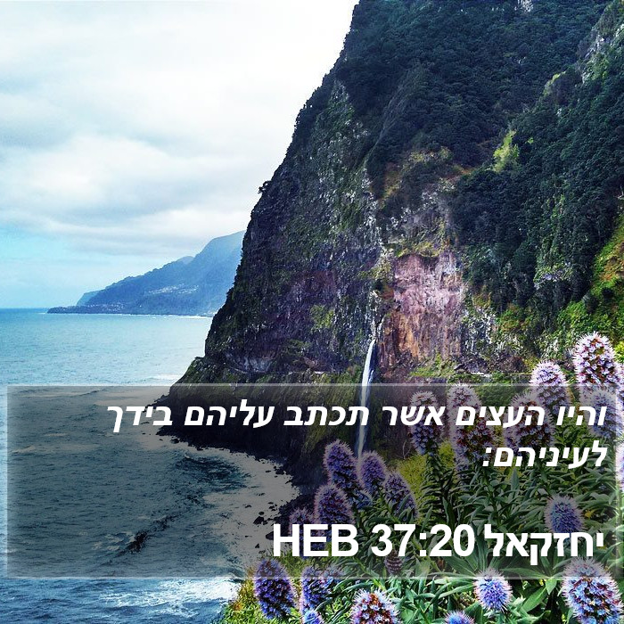 יחזקאל 37:20 HEB Bible Study