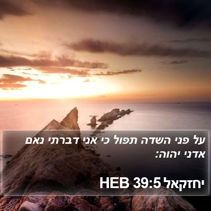 יחזקאל 39:5 HEB Bible Study