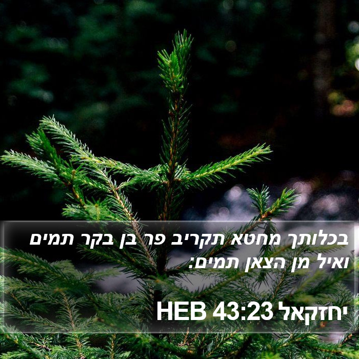 יחזקאל 43:23 HEB Bible Study