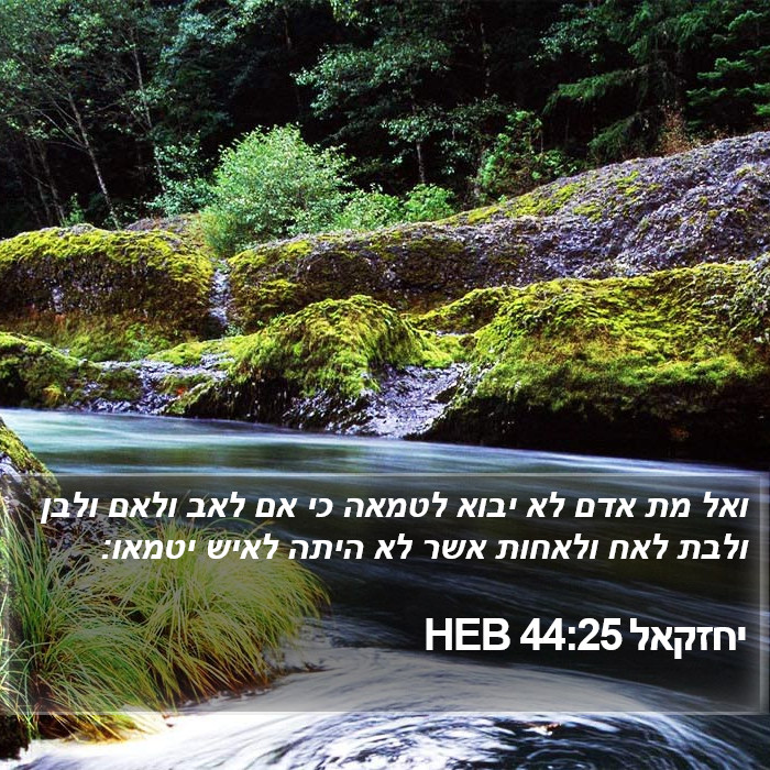 יחזקאל 44:25 HEB Bible Study