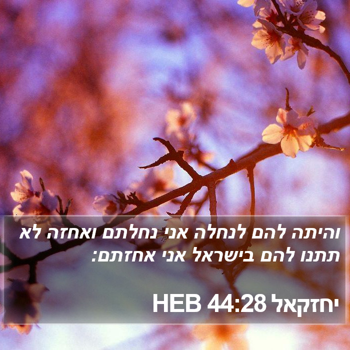 יחזקאל 44:28 HEB Bible Study