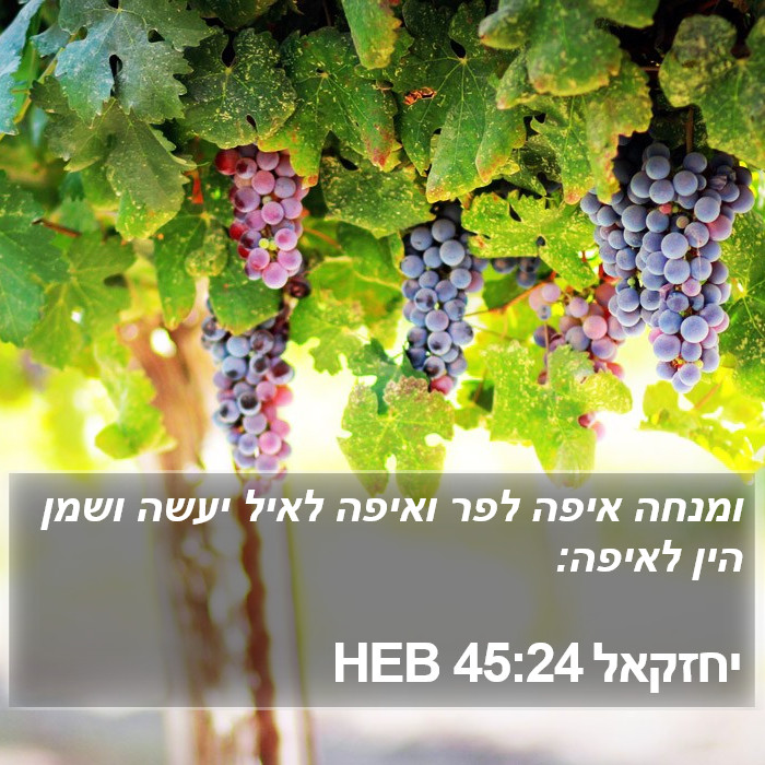 יחזקאל 45:24 HEB Bible Study