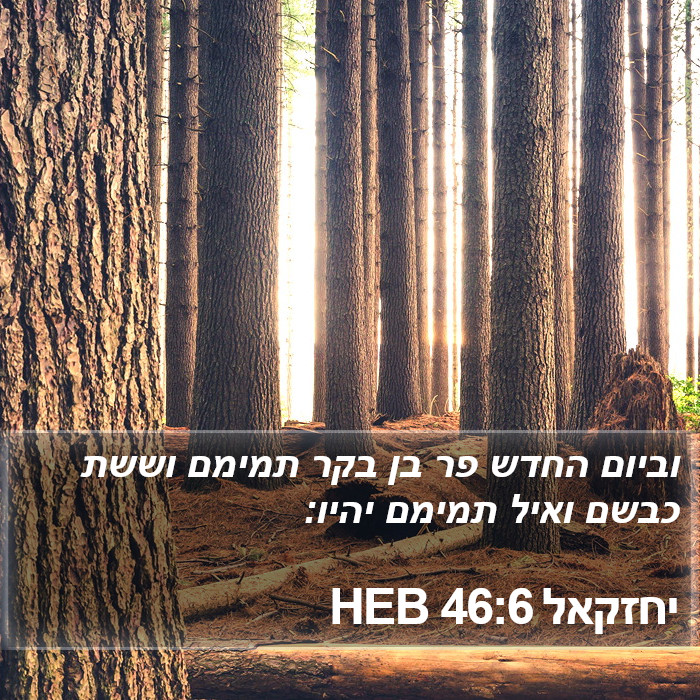 יחזקאל 46:6 HEB Bible Study