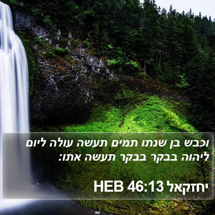 יחזקאל 46:13 HEB Bible Study