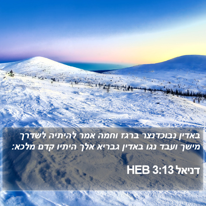 דניאל 3:13 HEB Bible Study