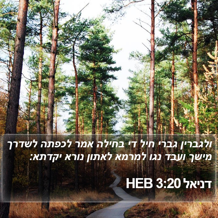 דניאל 3:20 HEB Bible Study