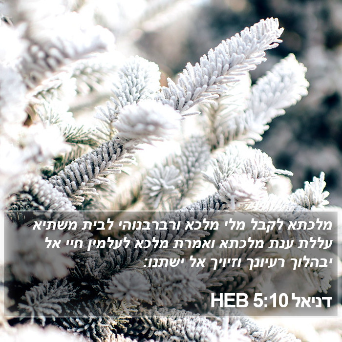 דניאל 5:10 HEB Bible Study