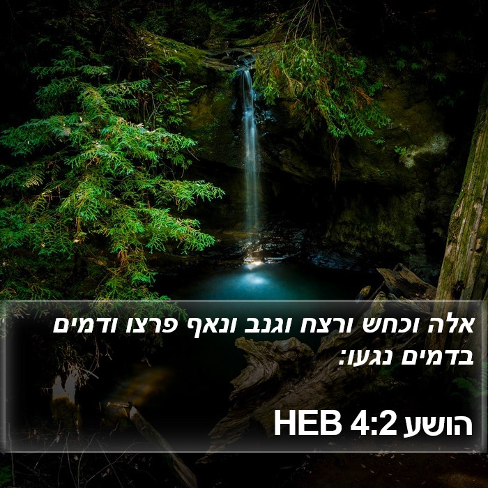 הושע 4:2 HEB Bible Study